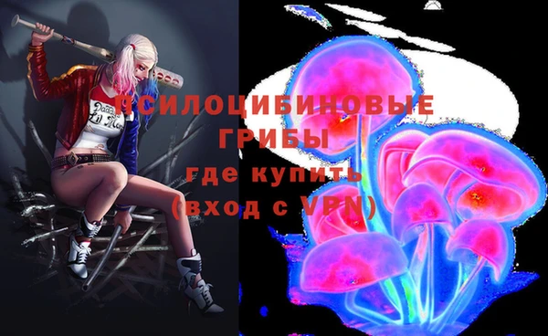 спайс Горняк