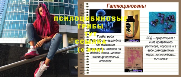 спайс Горняк